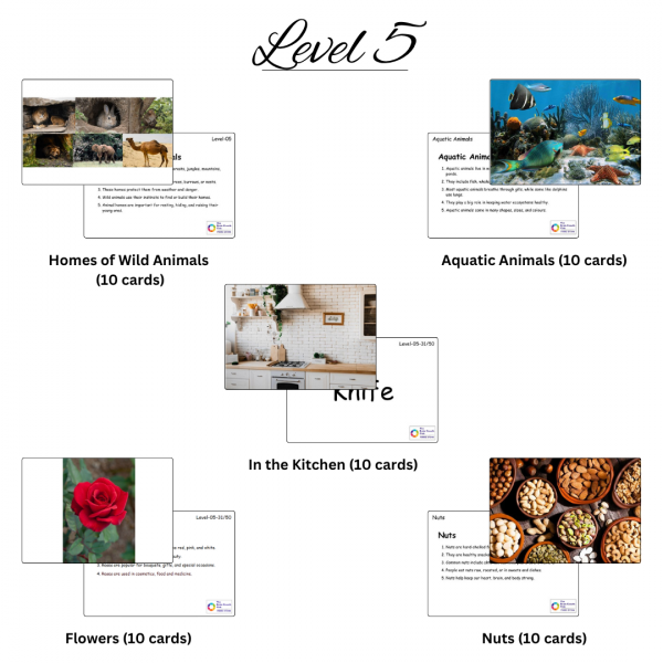 Images of different levels 10