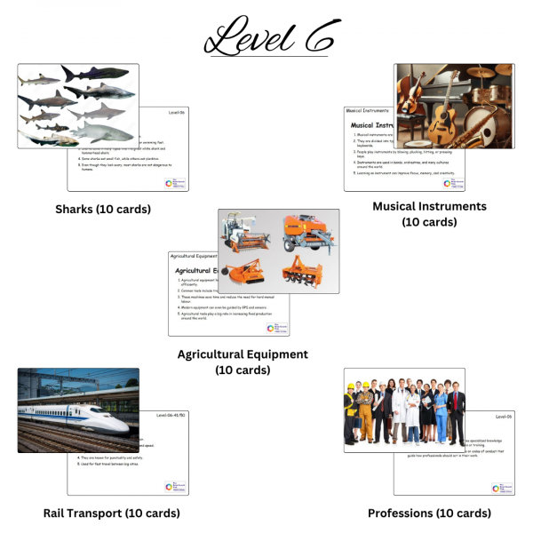 Images of different levels 11