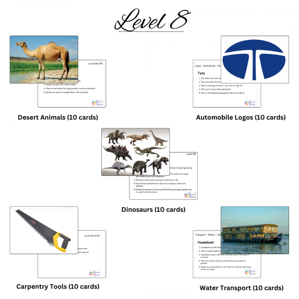 Images of different levels 13 1