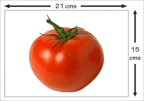 size