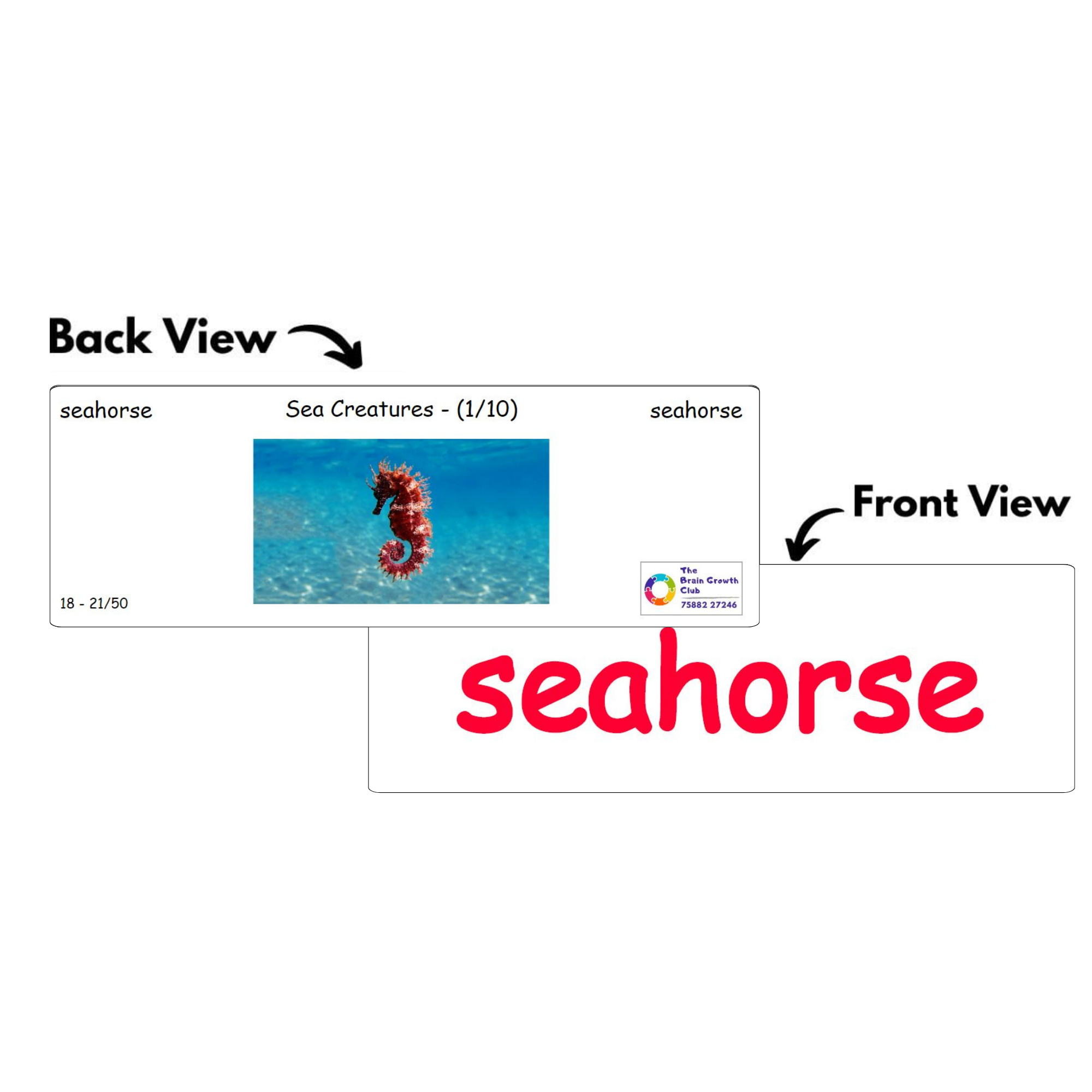 Front-Back-18 Front Back 18