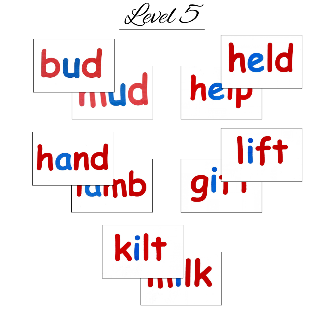 phonics (14) phonics 14