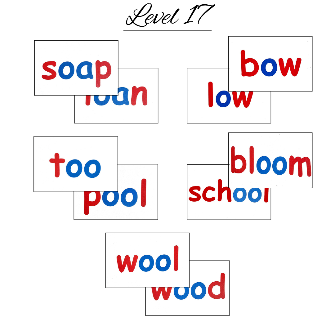 phonics (15) phonics 15