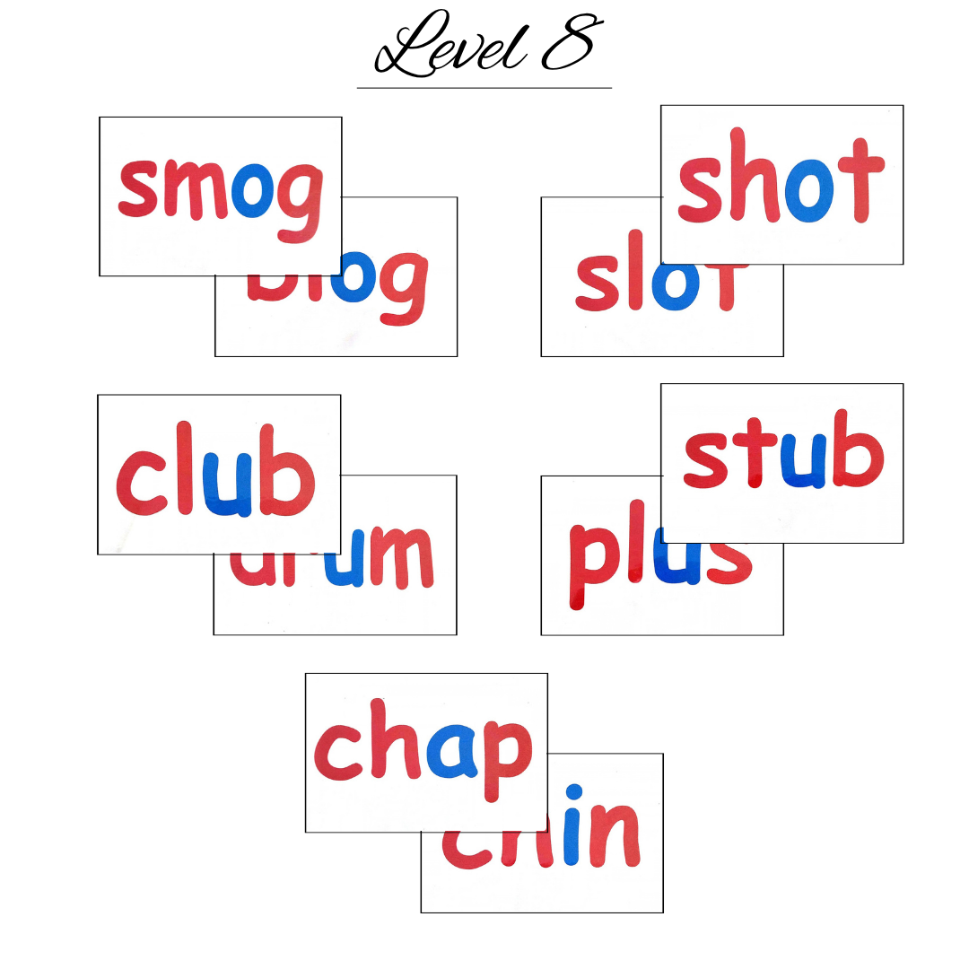 phonics (5) phonics 5
