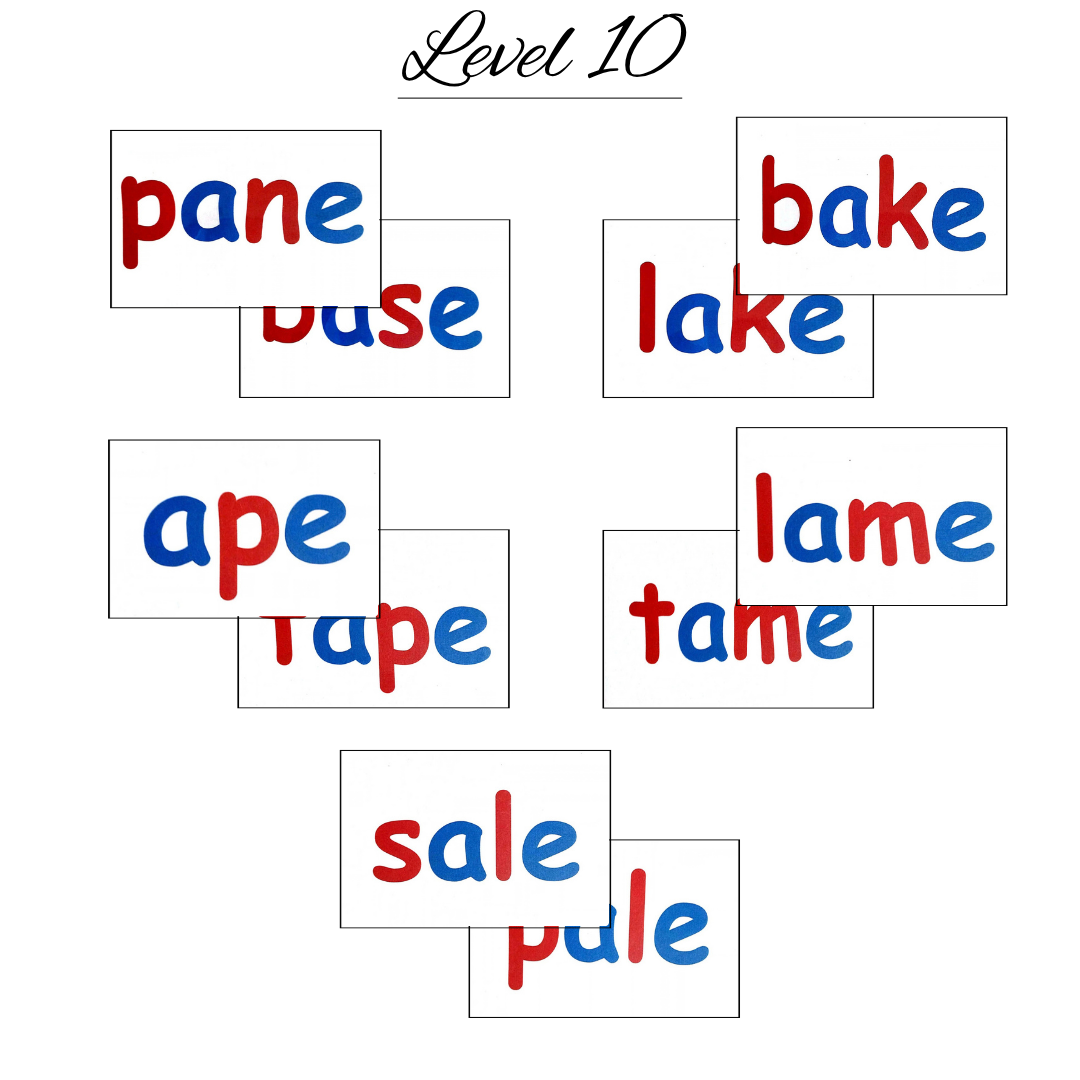 phonics (7) phonics 7