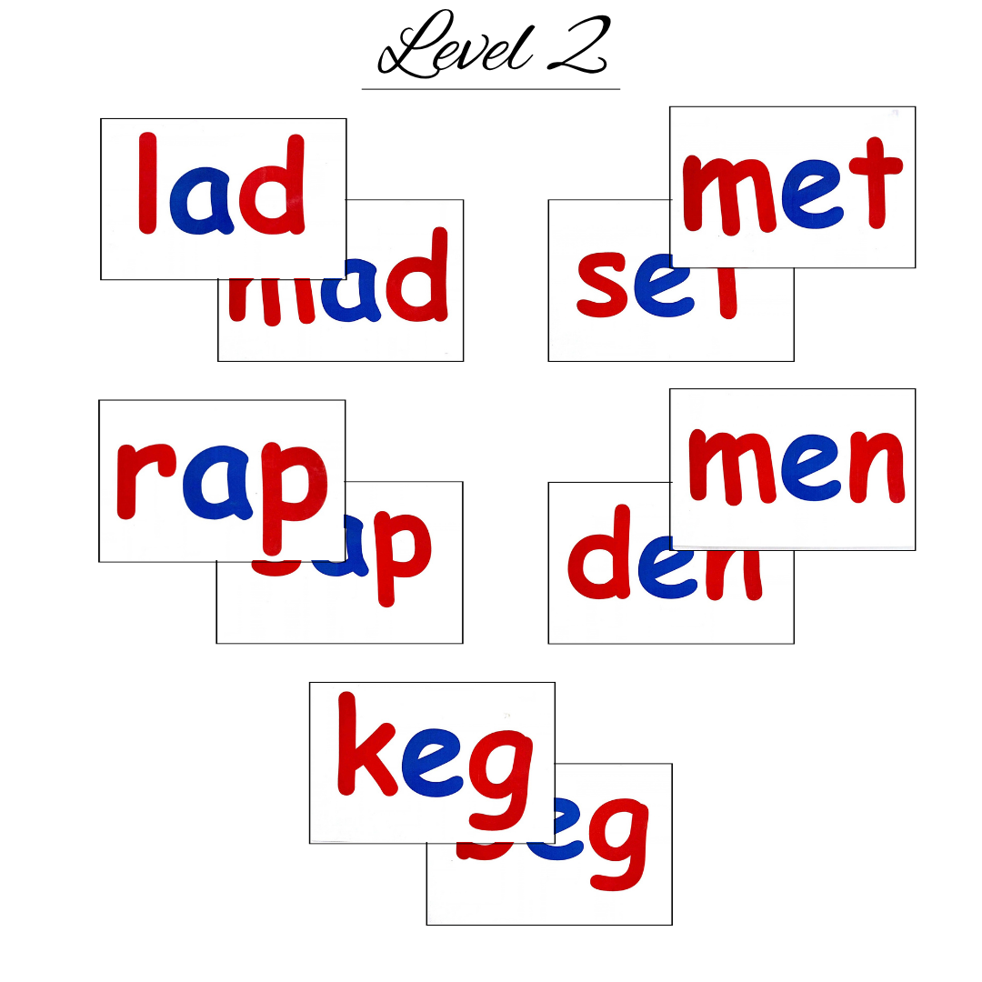 phonics phonics